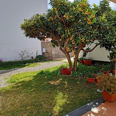 A Nespulara Bed & Breakfast Galati Marina Dış mekan fotoğraf